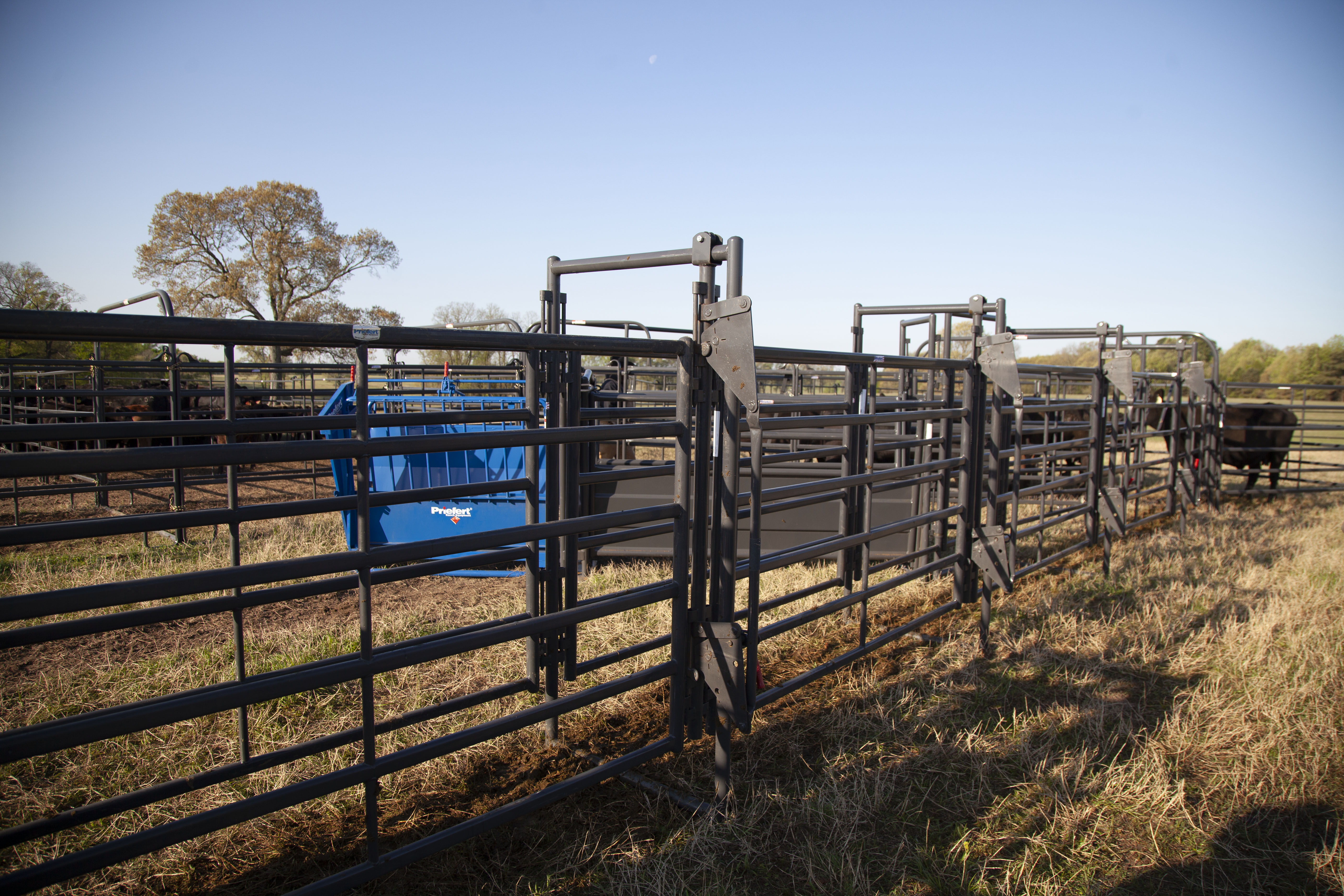 Premier System Adjustable Alley 29.jpg